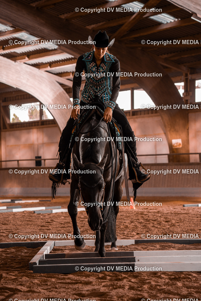 NE300034 | dv-media-shop - Realisiert mit Pictrs.com