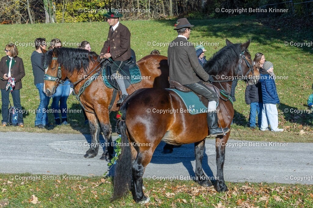 LBT25-240 | foto-bettina-krinner - Realisiert mit Pictrs.com