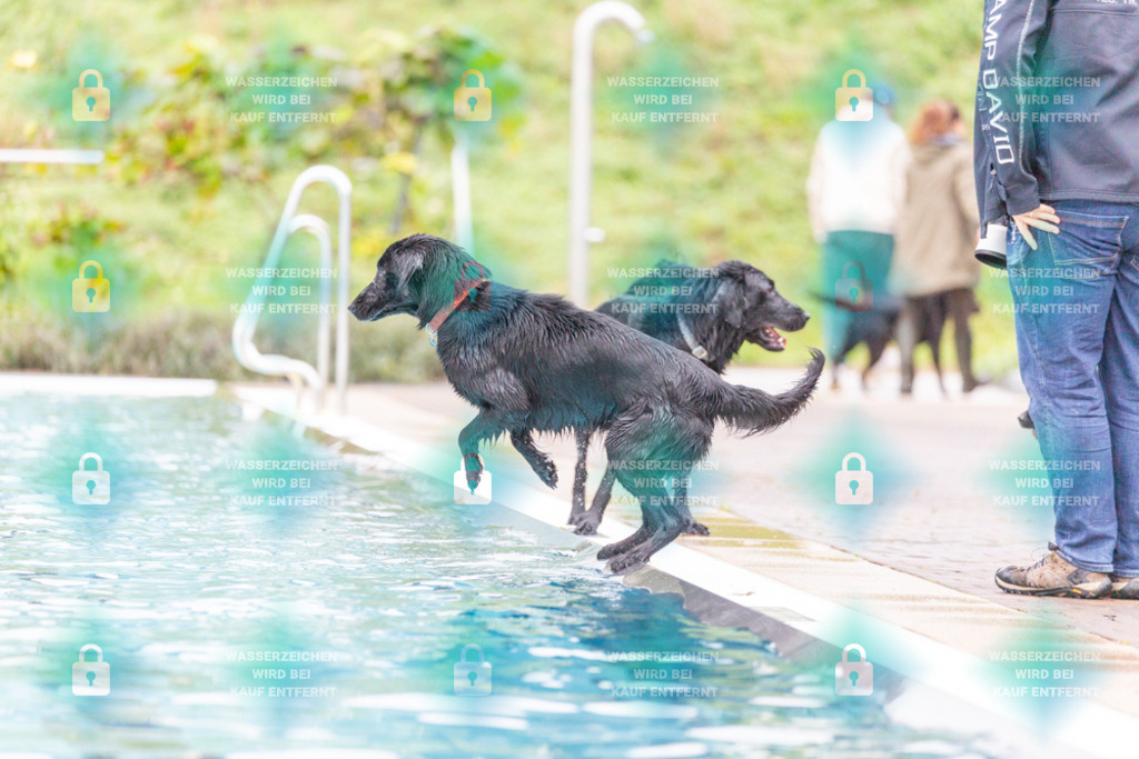 _HP_7303_1000o | HetPix, HetPix Fotodesign, Fotografie, Fotodesign, Webshop, Sportfotografie, Portraitfotografie, Onlineshop, Sportfotografie, Polch, Motorsportfotografie, Eventfotografie