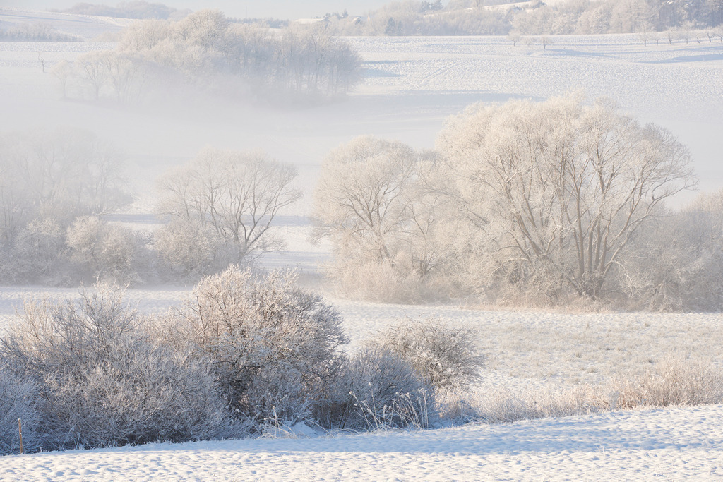 Winterlandschaft im Zickenbachtal | Rohr, Austria - February 02, 2015: Zickentaler Moor, Winterlandschaft im Zickenbachtal. - Realisiert mit Pictrs.com