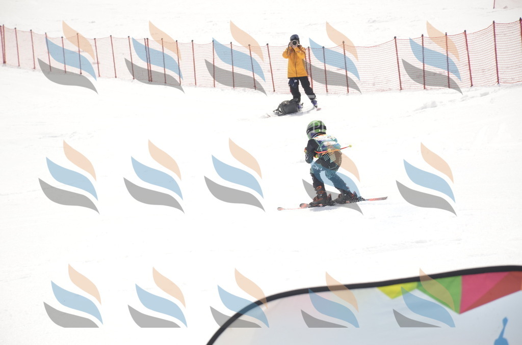 _ELE8462 | holidayphoto