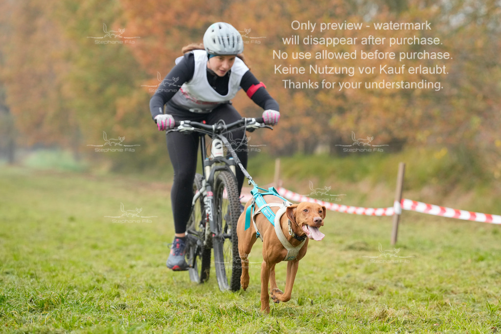 Visbeck_Sa_Bike-172 | stephaniefillaphotographie - Realisiert mit Pictrs.com