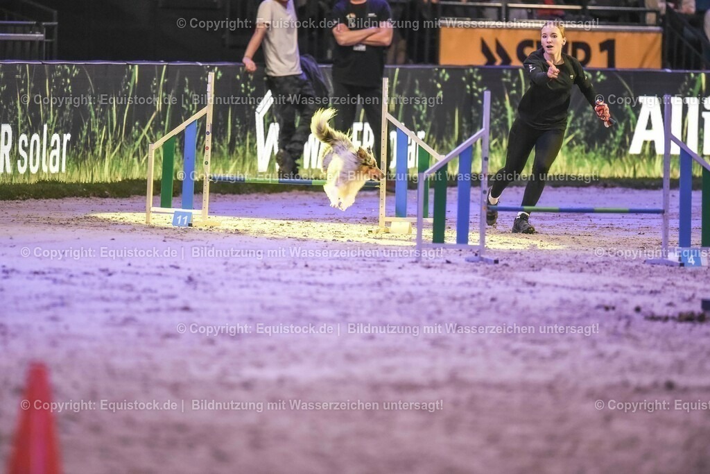 20231115_Dog-Agility_0226_TOMsPiC | Foto: Thomas Hartig