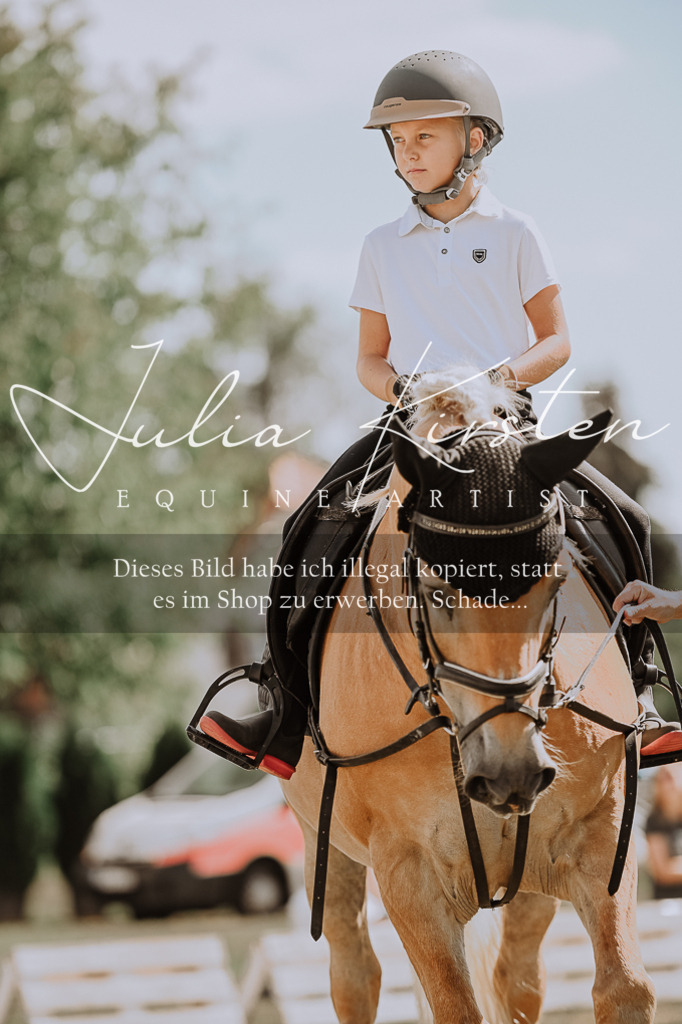 DSC_7789 | Pferde- und Turnierfotografie in Westsachsen. Pferdeportraits, Auftragszeichnungen und intuitive Kunst.