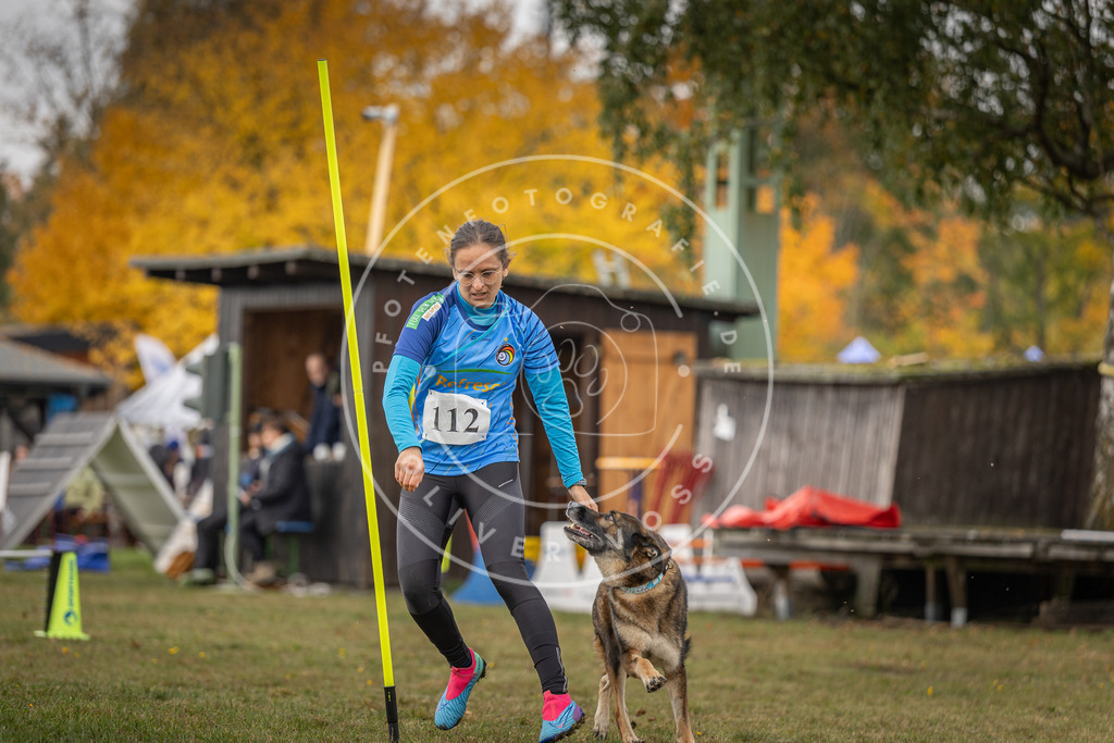Pfotenfotografie_DV3A6601 | Hundefotografie, Tierfotograf, Pfotenfotografie, Fotoshooting Hund, Hunde Portrait, Hundesport, Hundeportraits, Heideshooting, Hunde, Sportfotograf, Hundefotograf, Turnierhundsport, THS,  - Realisiert mit Pictrs.com