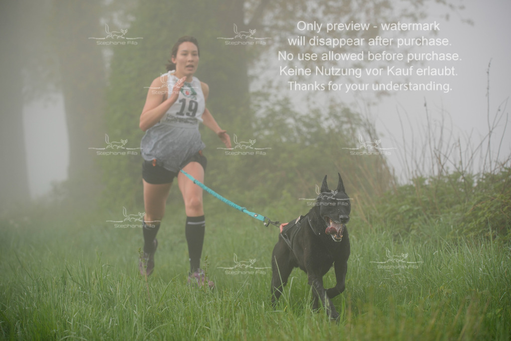 SA_GL2-109 | stephaniefillaphotographie - Realisiert mit Pictrs.com