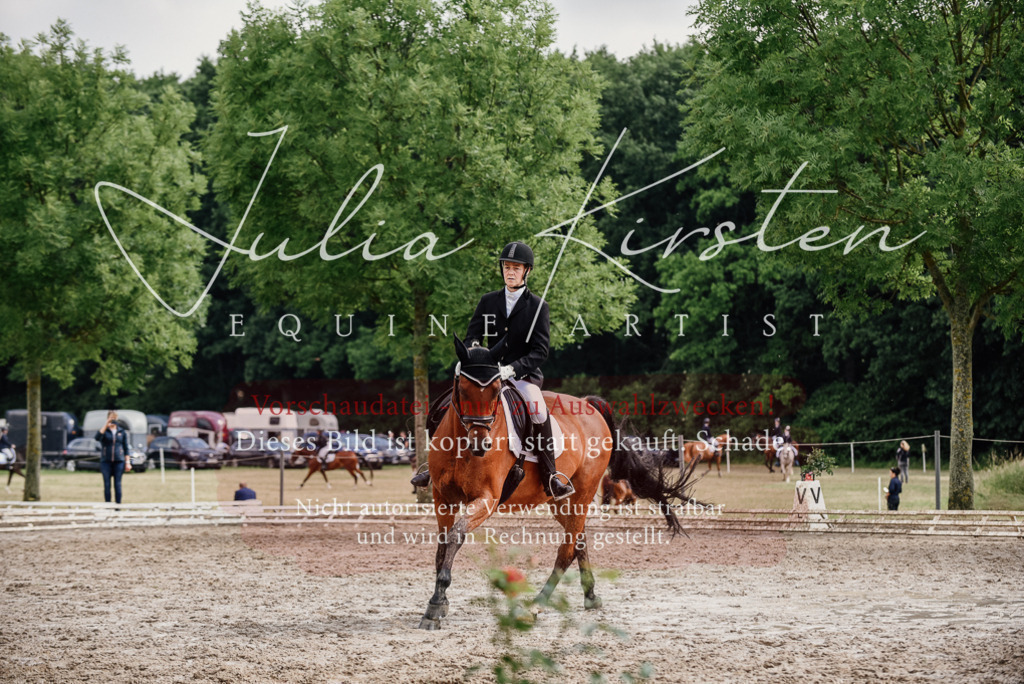 DSC_9775 | Pferde- und Turnierfotografie in Westsachsen. Pferdeportraits, Auftragszeichnungen und intuitive Kunst.