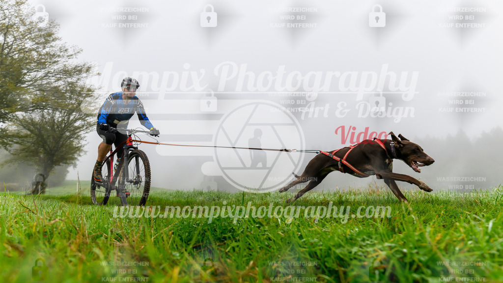 MompixPhotography_20TSB_E5_Bike-59 | PayLife