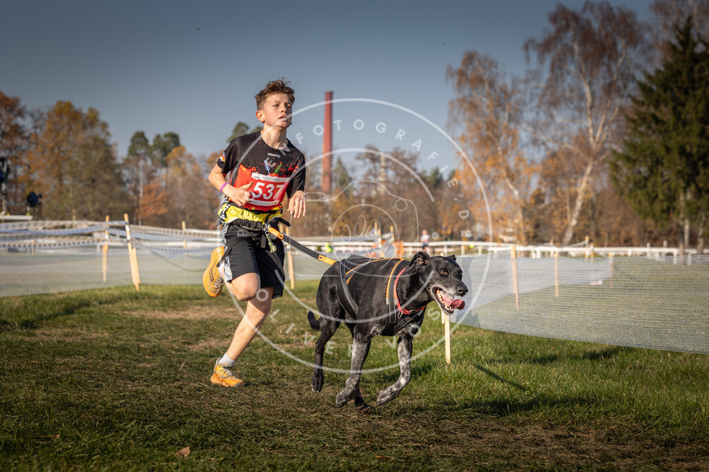 CaniXpix_0L8A8947 | Hundefotografie, Tierfotograf, Pfotenfotografie, Fotoshooting Hund, Hunde Portrait, Hundesport, Hundeportraits, Heideshooting, Hunde, Sportfotograf, Hundefotograf, Turnierhundsport, THS,  - Realisiert mit Pictrs.com