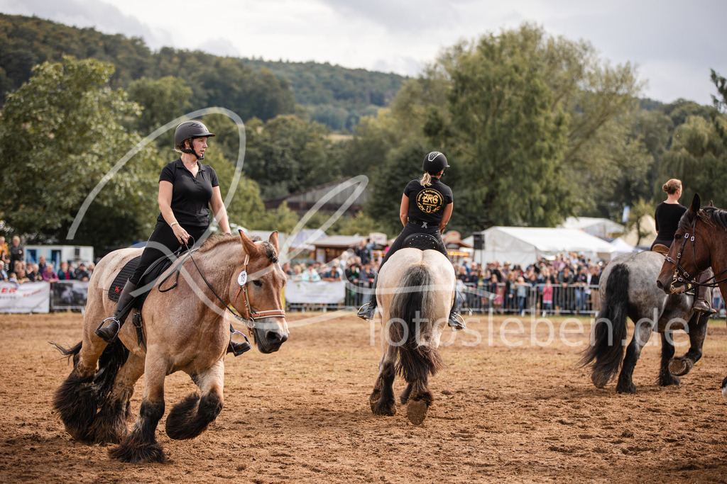 846A4052 | fotosleben - Realisiert mit Pictrs.com