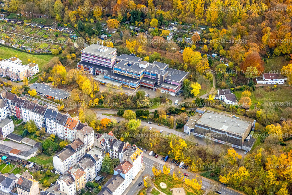Hagen251102551 | Luftbild, Friedrich-von-Bodelschwingh-Schule, farbige bunte Fenster Fassade, Städt. Kindergarten Wehringhausen, herbstliche Bäume, Wehringhausen, Hagen, Ruhrgebiet, Nordrhein-Westfalen, Deutschland