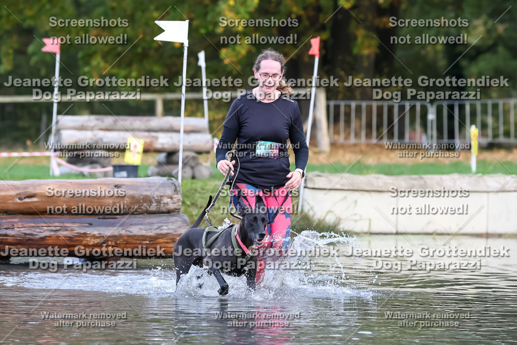 Dog Paparazzi - Strongdog 10-25-6717 | Dog Paparazzi Jeanette Grottendiek Fotografie & Videografie - Realisiert mit Pictrs.com