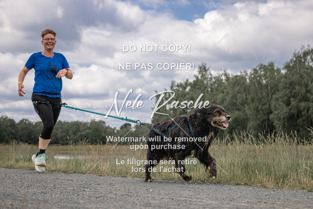nelerasche_BuHu2026_SaCC1100-1200_245 | nelerasche