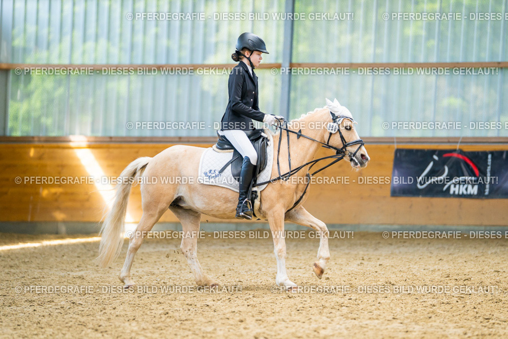 DSC08634 | Pferdegrafie