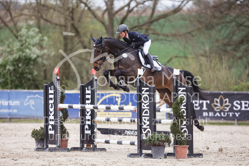 250417_Springpferde-L2-344 | Deine schönsten Turniermomente als professionelle Fotos! Entdecke hochwertige Pferdesport-Fotografie im Online-Shop. Jetzt Fotos finden & bestellen!