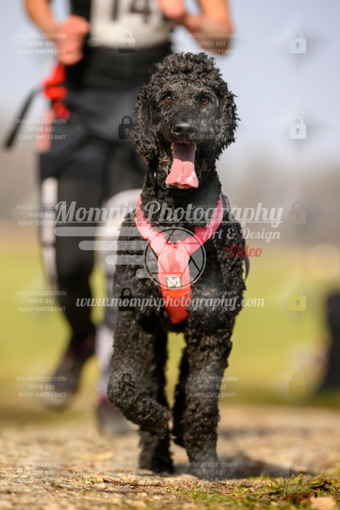 MompixPhotography_6ReiatRennen2026_SA_HappyDog-16 | PayLife