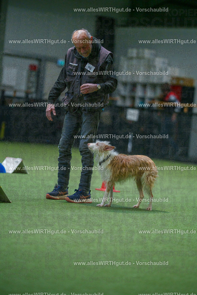 7R503625 | Professionelle Tierfotografie in Mönchengladbach von Daniel Wirth (allesWIRTHgut). Liebevolle & natürliche Bilder von Hunden & Katzen für unvergessliche Erinnerungen.