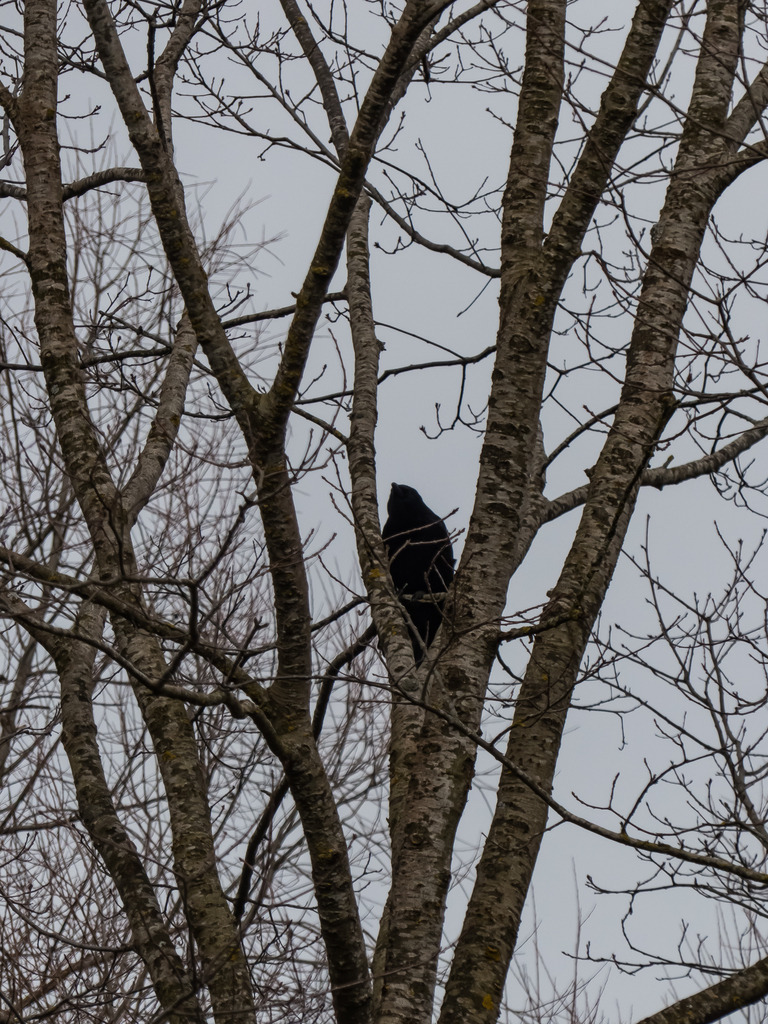 PSX_20230308_233221 | mtkfoto_ - Realisiert mit Pictrs.com