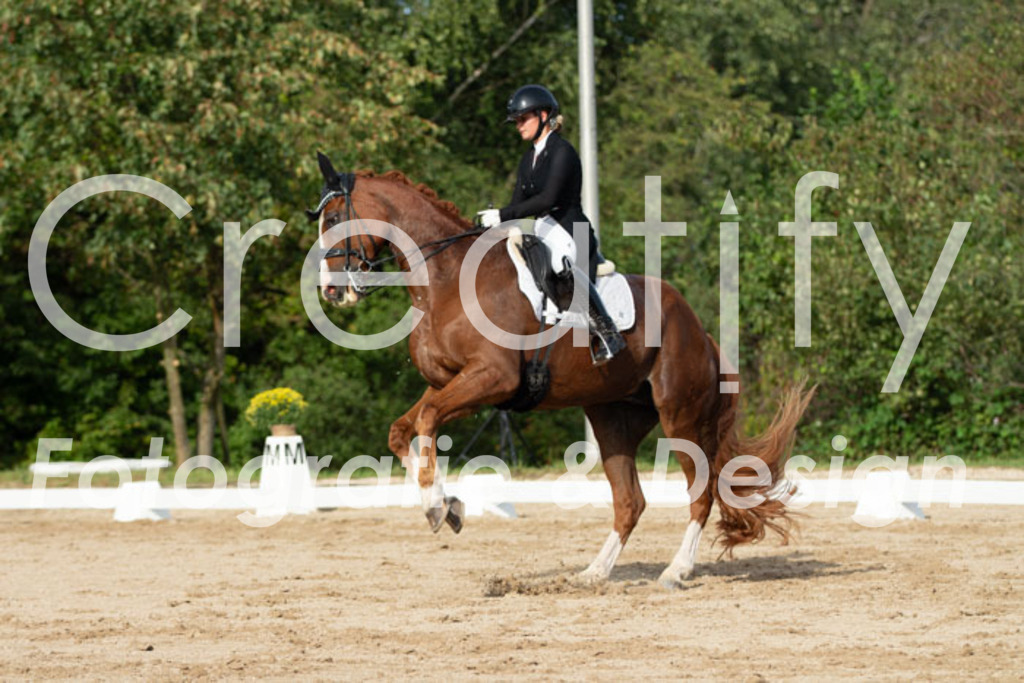 IMG_4302 | Creatify Fotografie