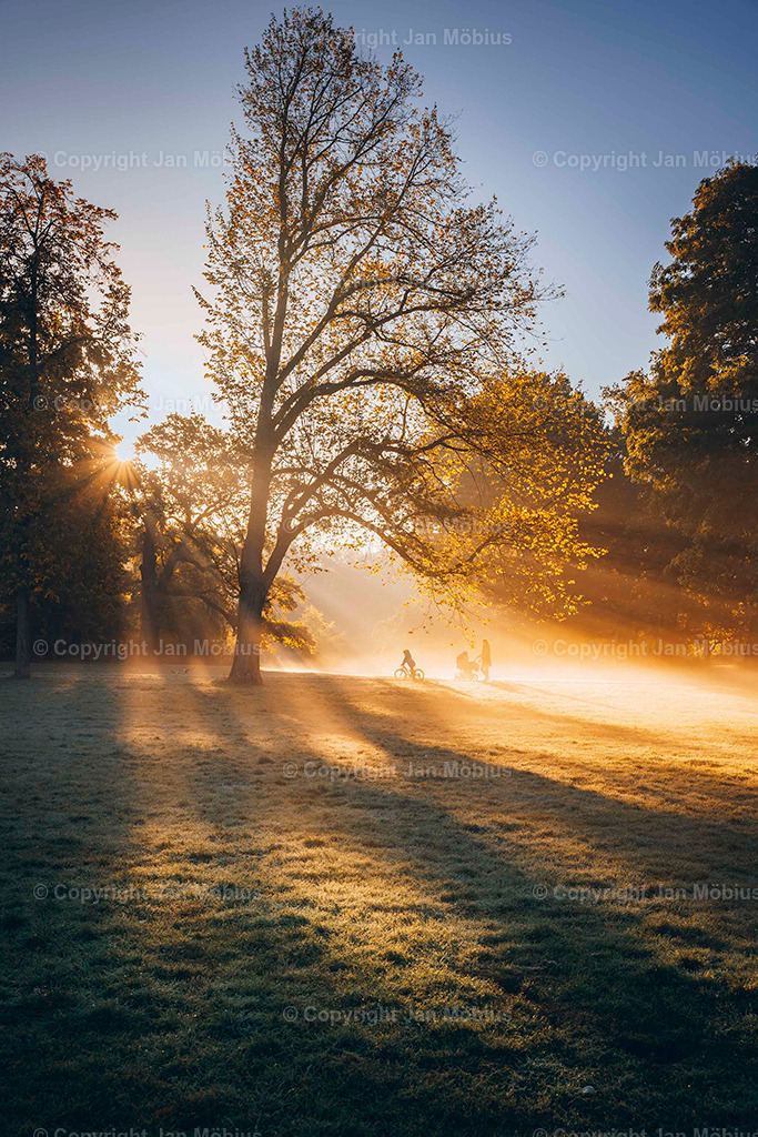 Clara Park | Der Clara-Zetkin-Park in Leipzig ist ein beliebter Ort für Natur, Sport und Erholung – perfekt für Spaziergänge, Jogging und entspannte Stunden im Grünen. - Realisiert mit Pictrs.com
