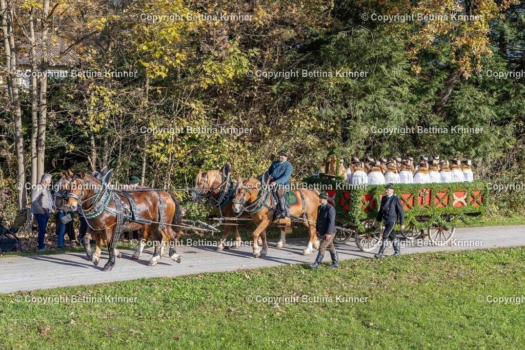 LBT24-261 | foto-bettina-krinner - Realisiert mit Pictrs.com