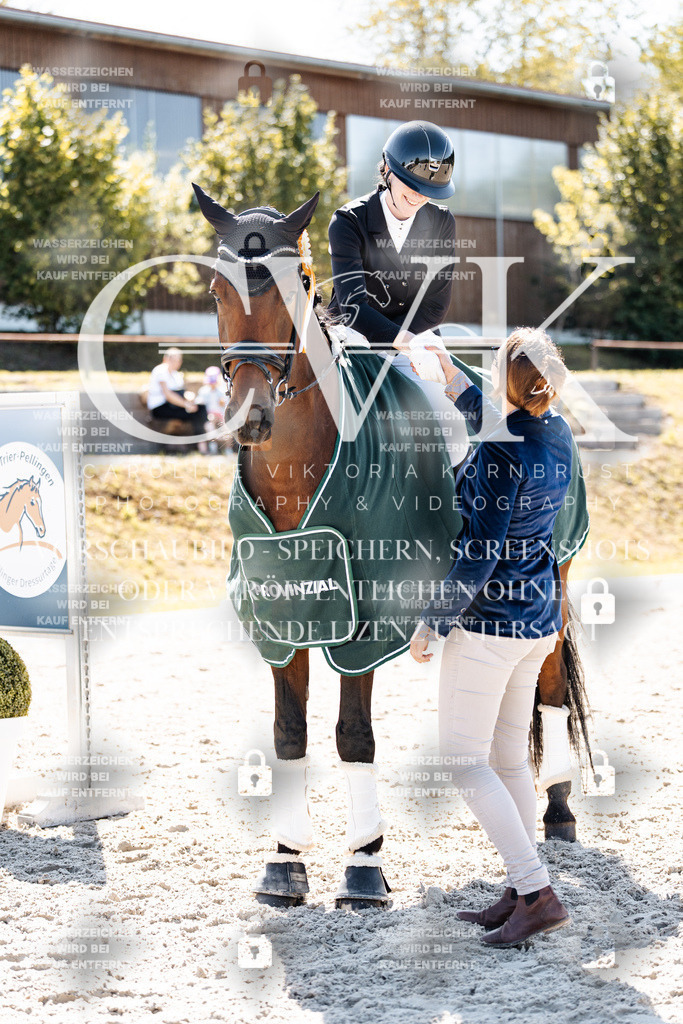 CK904256 | Turnierfotografie Pferdefotografie Trier Rheinland-Pfalz Pferdesport Reitsport Tierfotografie Sportfotografie Pferdevideo Pferdevideografie Equestrianvideography equestrianphotography  - Realisiert mit Pictrs.com