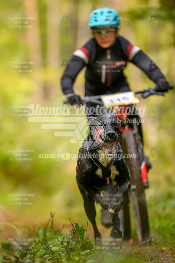 MompixPhotography_Yens2025_B2-22 | PayLife