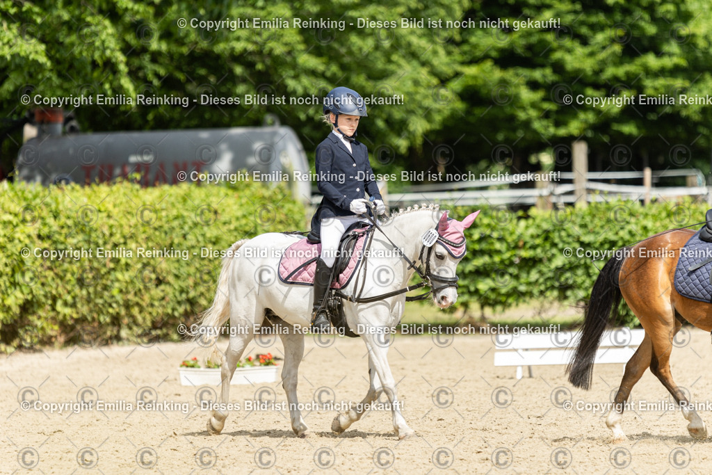 CL5A1428 | Emilia Reinking Fotografie - Realisiert mit Pictrs.com