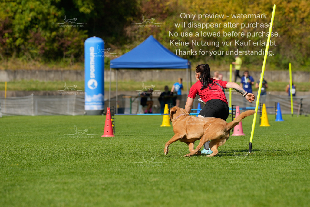 Samstag_Hürden (1470 von 1617) | stephaniefillaphotographie - Realisiert mit Pictrs.com