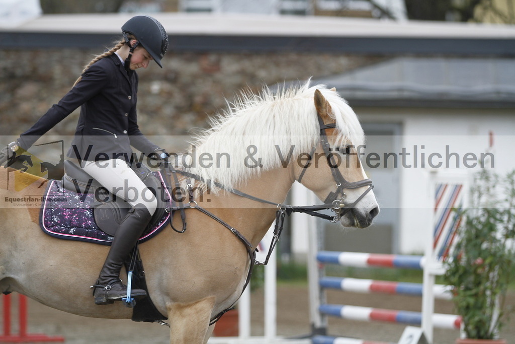 _MG_4388 | equestrian-live-com