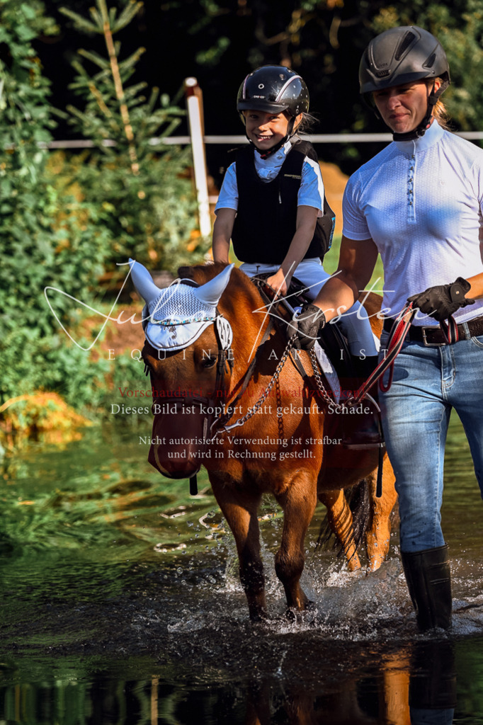 DSC_0495 | Pferde- und Turnierfotografie in Westsachsen. Pferdeportraits, Auftragszeichnungen und intuitive Kunst.