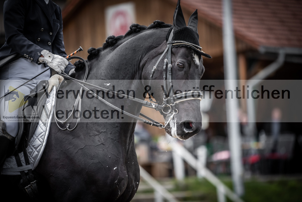 DSC_2816 | equestrian-live-com