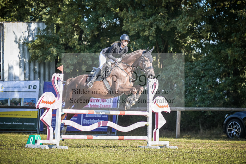 DOS_0936 | Entdecke hochwertige Reitturnierfotos von Foto Oger. Professionell, emotional und authentisch – jetzt Lieblingsmomente im Shop bestellen.Deutschlandweite Turnierfotografie. - Realisiert mit Pictrs.com