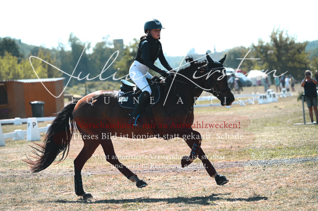 DSC_8378 | Pferde- und Turnierfotografie in Westsachsen. Pferdeportraits, Auftragszeichnungen und intuitive Kunst.