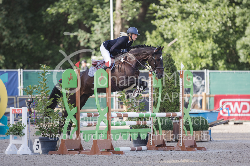 220614_Mühlen_SprPf-A-117 | Late Entry Mühlen
14.06.2022
Springpferde A**
4-6jährige Pferde
