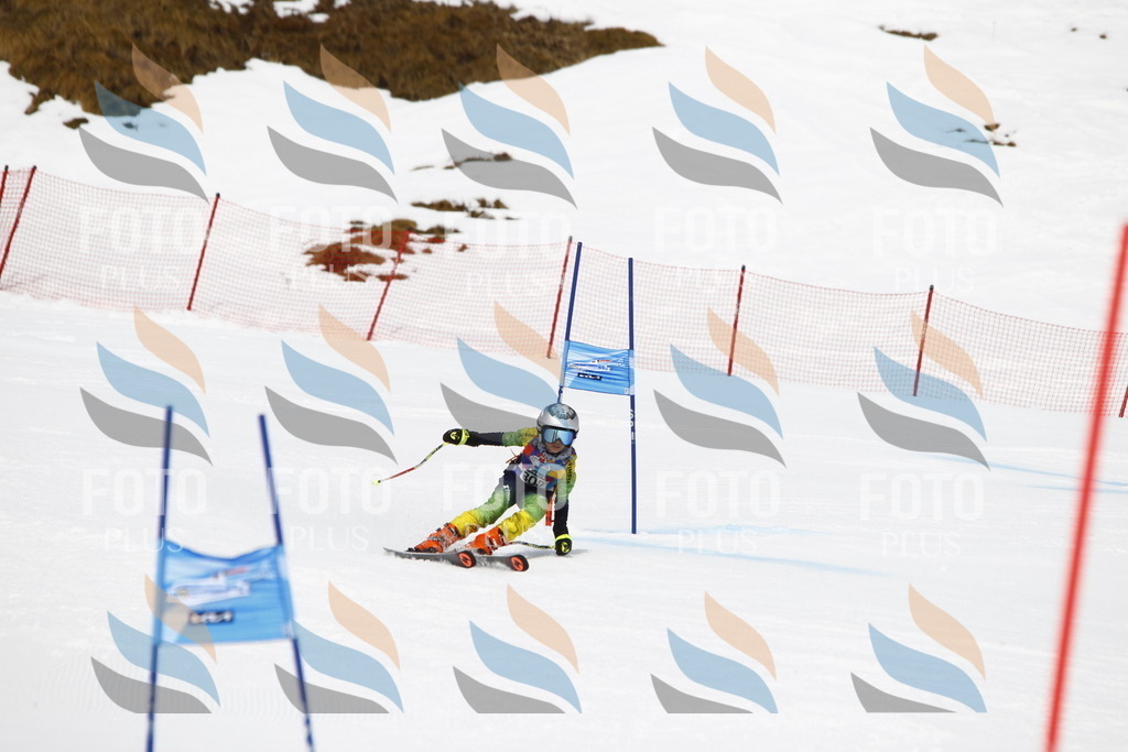 _U3G7649 | holidayphoto