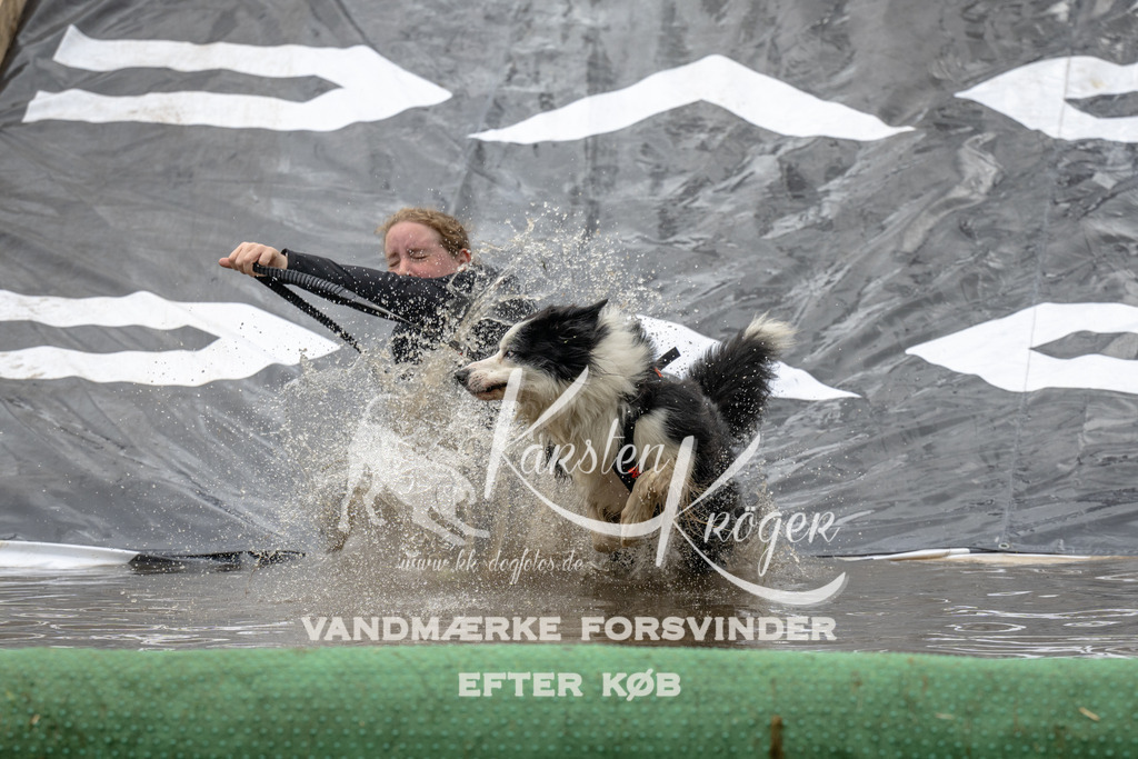 1554_ZZ91380 | kk-dogfotos
