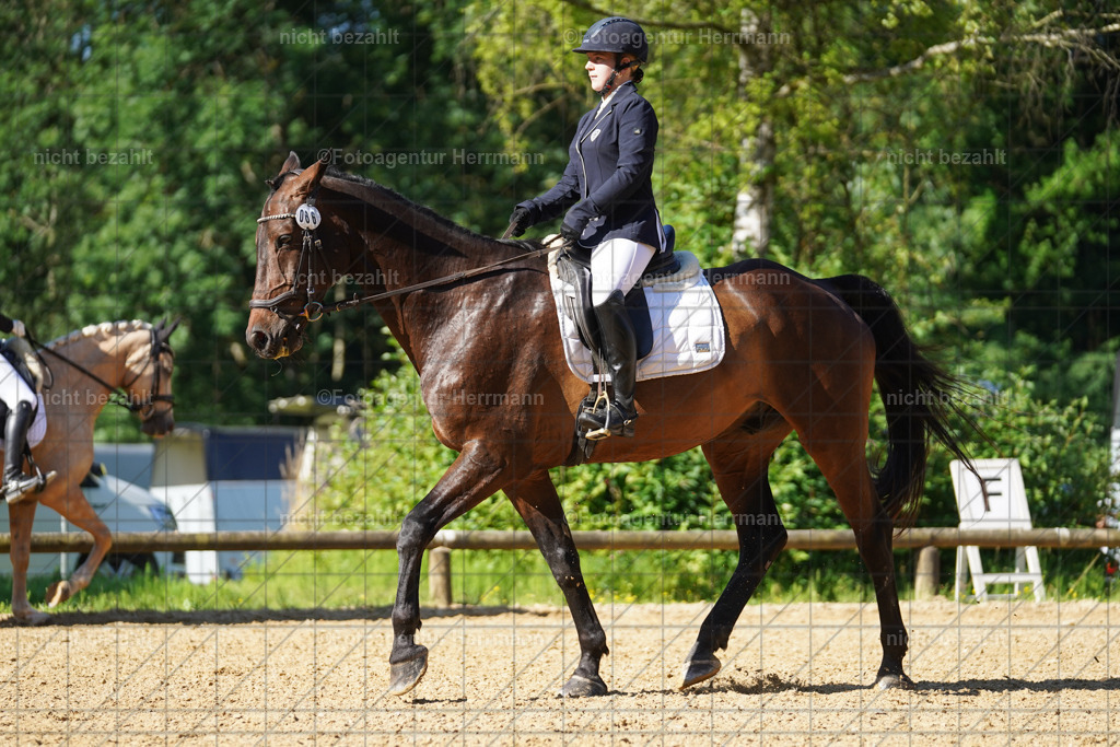 20240706-FAH04503 | Grafing Turnierfotos, Reitverein Ebersberg, Turnierfotografen Bayern, reitsportbilder, Pferdefotograf, reitsportfotograf, Sportbilder, Reitsportfotografie, Fotoagentur Herrmann, Turnierfotograf