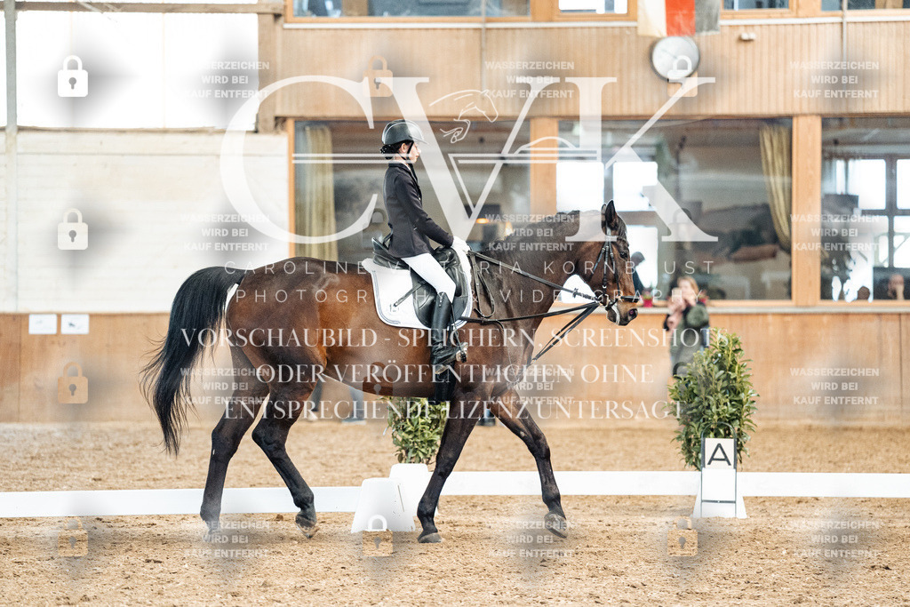 CK900418 | Turnierfotografie Pferdefotografie Trier Rheinland-Pfalz Pferdesport Reitsport Tierfotografie Sportfotografie Pferdevideo Pferdevideografie Equestrianvideography equestrianphotography  - Realized with Pictrs.com