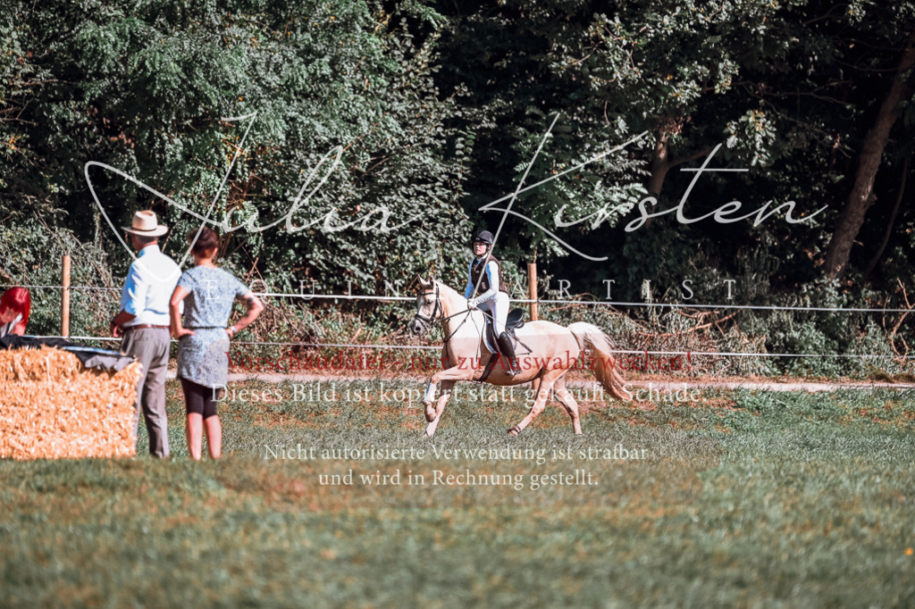 DSC_1128 | Pferde- und Turnierfotografie in Westsachsen. Pferdeportraits, Auftragszeichnungen und intuitive Kunst.