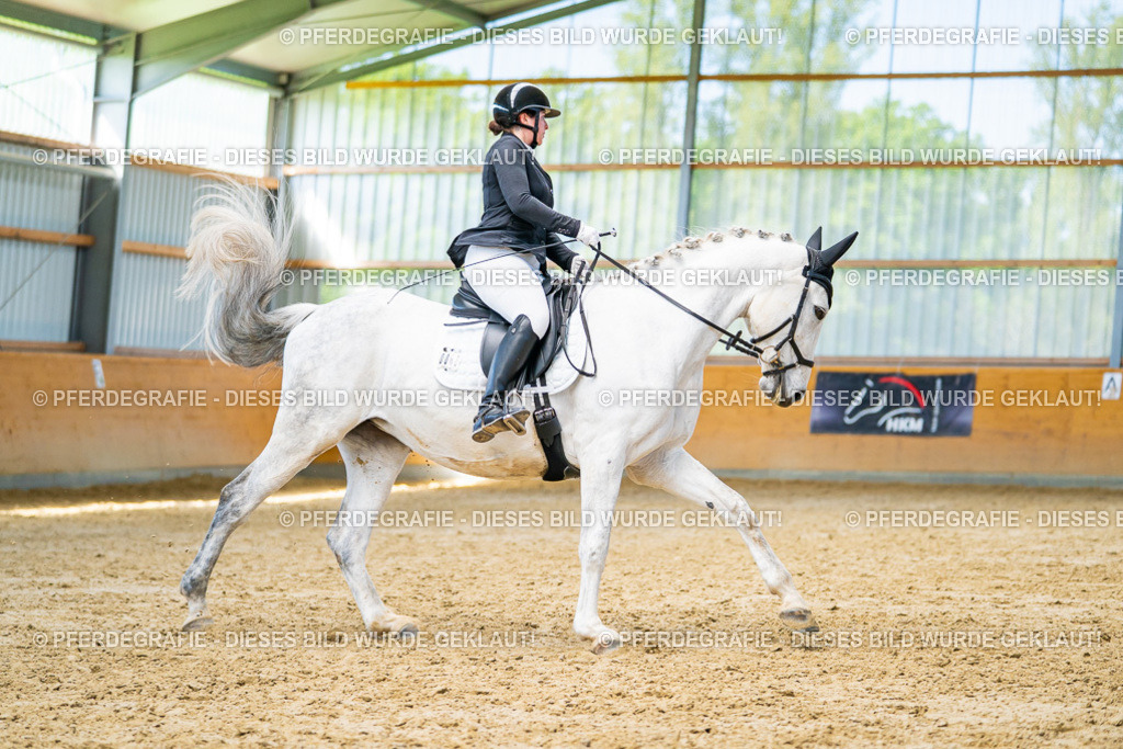 DSC07867 | Pferdegrafie