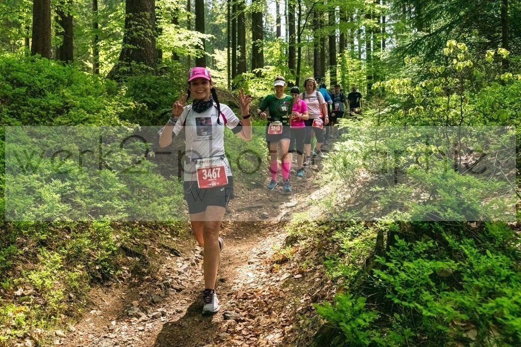Rennsteiglauf 2019 | Marathon Neuhaus/Rwg. - Schmiedefeld am 18. Mai 2019