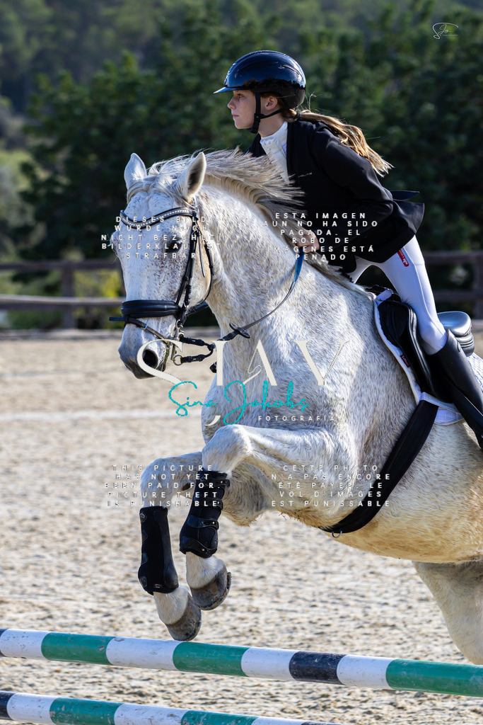 IMG_0535 | s-jay-photography - Realisiert mit Pictrs.com