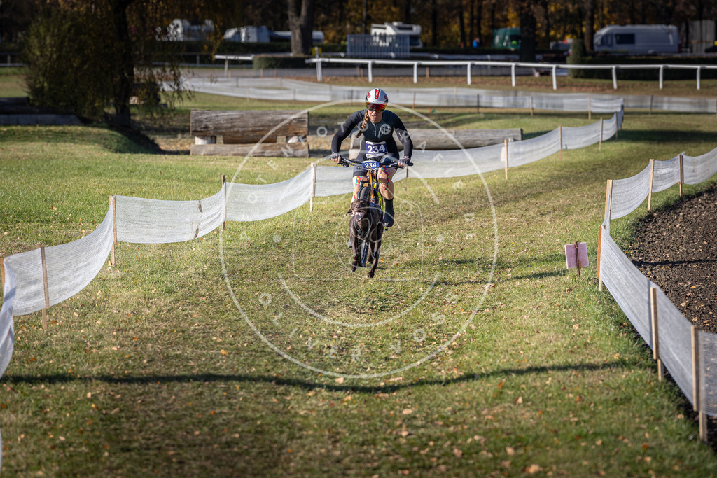 CaniXpix_DV3A3983 | Hundefotografie, Tierfotograf, Pfotenfotografie, Fotoshooting Hund, Hunde Portrait, Hundesport, Hundeportraits, Heideshooting, Hunde, Sportfotograf, Hundefotograf, Turnierhundsport, THS,  - Realisiert mit Pictrs.com