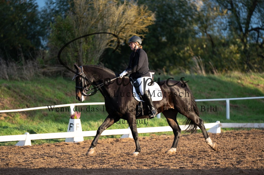 A7V06157 | Pferdefotograf