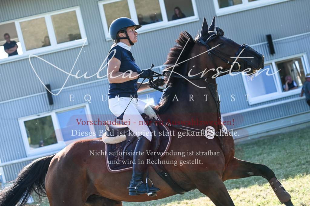 DSC_2977 | Pferde- und Turnierfotografie in Westsachsen. Pferdeportraits, Auftragszeichnungen und intuitive Kunst.