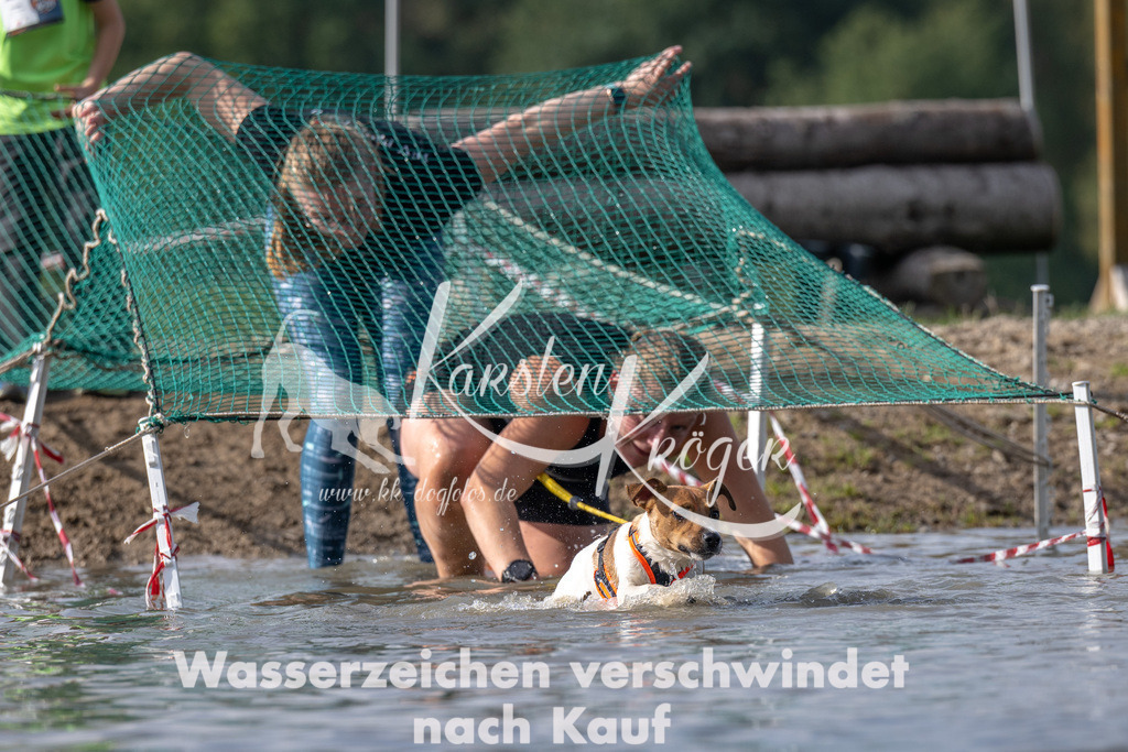 1150_ZZ94435 | kk-dogfotos
