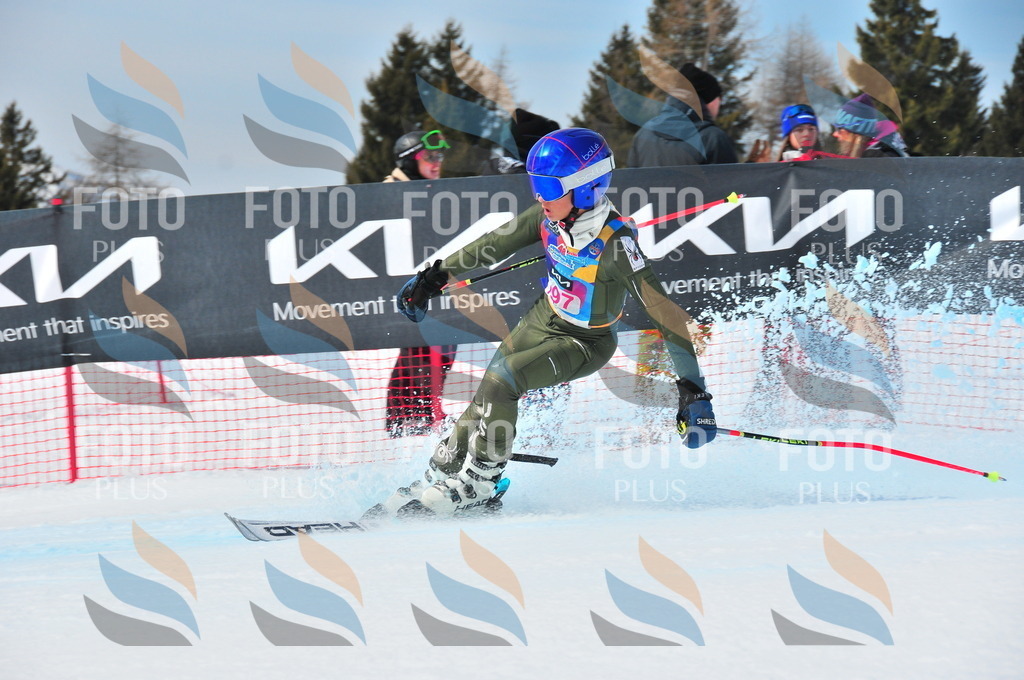 DSC_5536 | holidayphoto