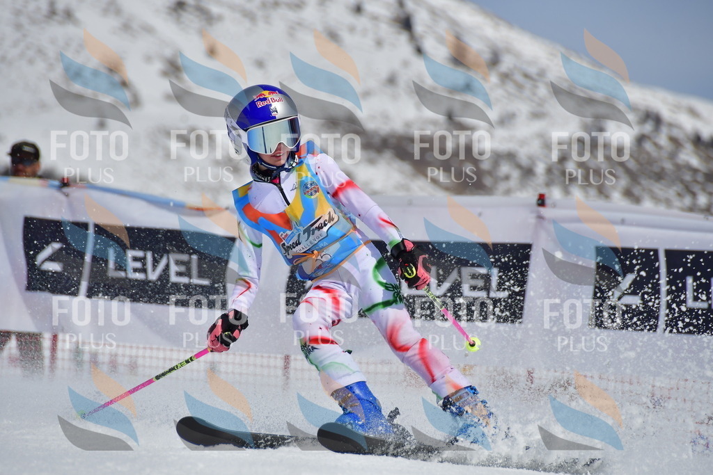 _DSC6844 | holidayphoto