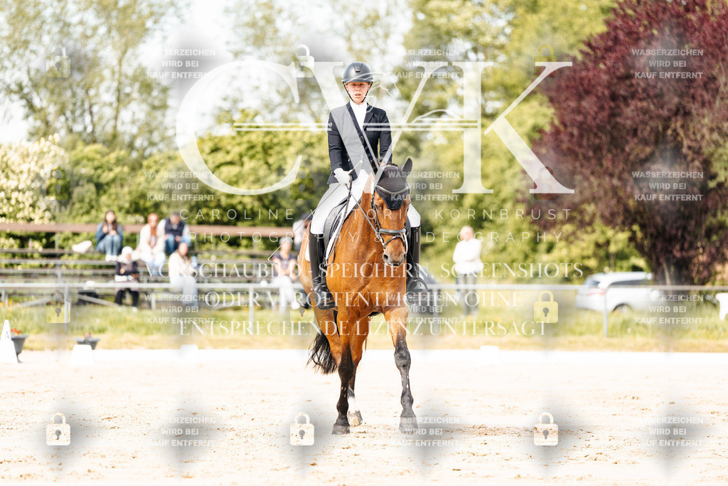 CK900991 | Turnierfotografie Pferdefotografie Trier Rheinland-Pfalz Pferdesport Reitsport Tierfotografie Sportfotografie Pferdevideo Pferdevideografie Equestrianvideography equestrianphotography  - Realisiert mit Pictrs.com
